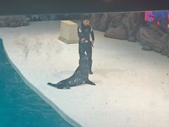 -锦艺城海洋馆