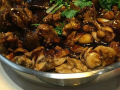 甲鱼-黄记煌三汁焖锅(新世纪广场店)