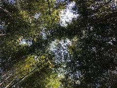 -竹泉村旅游度假区