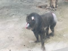 -鄂尔多斯野生动物园