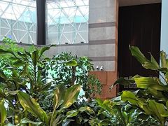 -上海新锦江大酒店