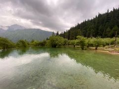 -黄龙山原始森林景区