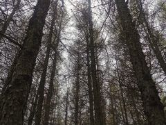 -草原天路(张北县)