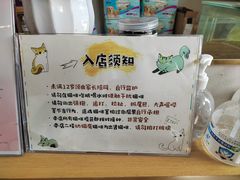 -飞行喵MR PILOT|猫舍·猫咖(静安大融城店)