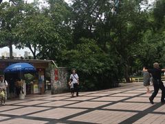 -晓港公园