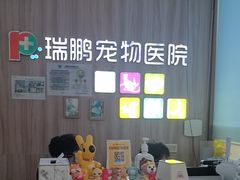 -瑞鹏宠物医院·内科·中兽医·骨科(苗圃店)