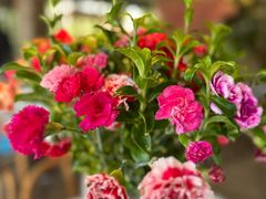 -春暖花开(西溪店)