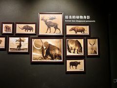 -大庆市博物馆