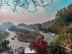 -四明山国家森林公园