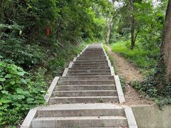 -青龙山国家森林公园
