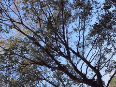 -南京市无想山景区