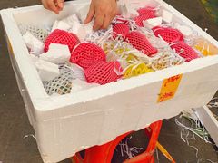 -三亚新鸿港水果一级批发市场