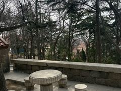 -观象山公园