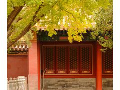 -故宫博物院(故宫)