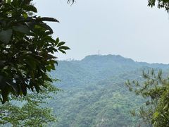-佛山市三水区大南山森林公园