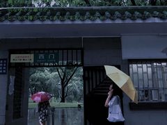 -晓港公园