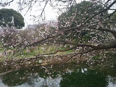 -无锡梅园公园