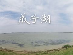 -江苏省泗阳县成子湖旅游度假区综合服务中心-停车场