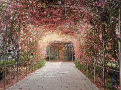 -厦门老院子景区