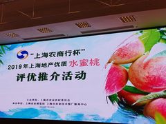 -西郊国际农产品交易中心