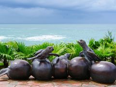 -广东惠东海龟国家级自然保护区