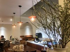 -有猫主题·治愈系猫咖(曾厝垵店)