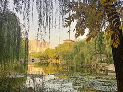 -文瀛公园