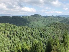 -武陵山森林公园