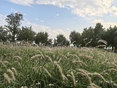 -汉长安城未央宫国家考古遗址公园