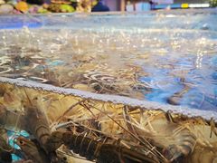 -山海•蒸汽活海鲜自助(皇庭广场店)