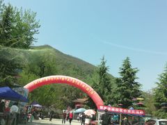 -盛世牡丹苑生态文化旅游区