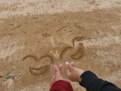 -大连老虎滩海洋公园