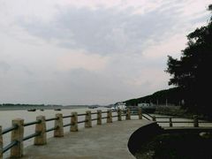 -大湾区中央湿地公园-十九涌