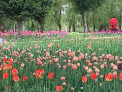 -长春公园(普阳街道)