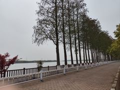-太阳岛度假酒店