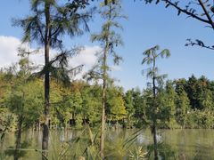 -上海长兴岛郊野公园