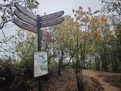 -阳台山森林公园