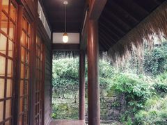 -中国茶叶博物馆(双峰馆区)