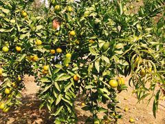 -张公山寨景区