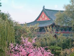 -中国翰园碑林