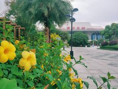 -南宁东站
