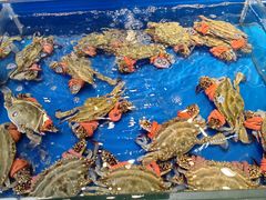 -岳各庄批发市场(西四环中路店)