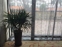 -马大胡子清真西北菜