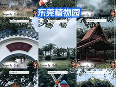 -东莞植物园