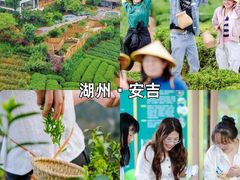 -上海山野camping·户外天幕烧烤·团建拓展营地
