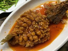 松鼠桂鱼-协和菜馆(凤凰街店)