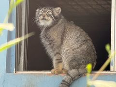 -青藏高原野生动物园