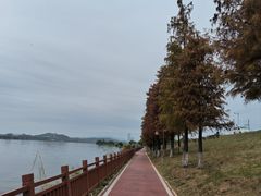 -鹤之洲湿地公园