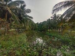 -白沙门生态公园