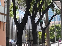 -逸派咖啡 EPARKCOFFEE(广安门店)